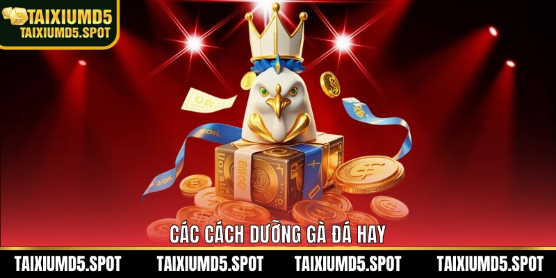 Các cách dưỡng gà đá hay