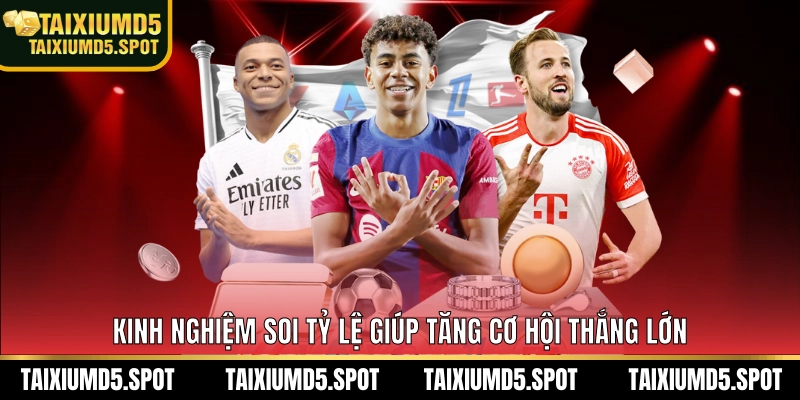 Kinh nghiệm soi tỷ lệ giúp tăng cơ hội thắng lớn
