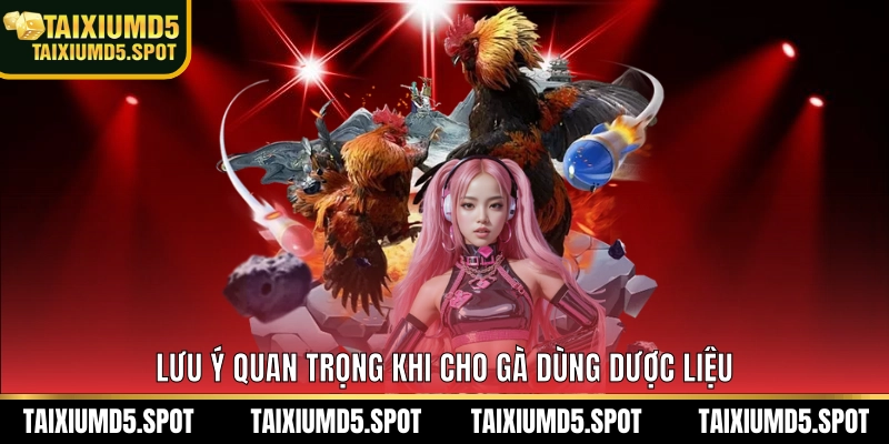 Lưu ý quan trọng khi cho gà dùng dược liệu