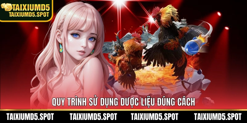 Quy trình sử dụng dược liệu đúng cách