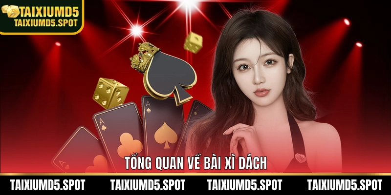 Tổng quan về bài xì dách
