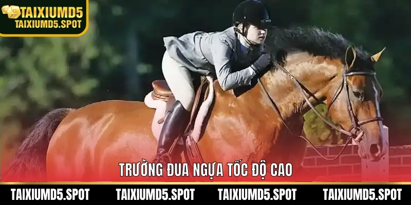 Trường đua ngựa tốc độ cao