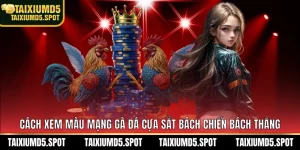 cách xem màu mạng gà đá cựa sắt